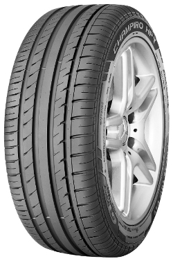 

Летняя шина 205/45 R17 88W GT Radial Champiro HPY